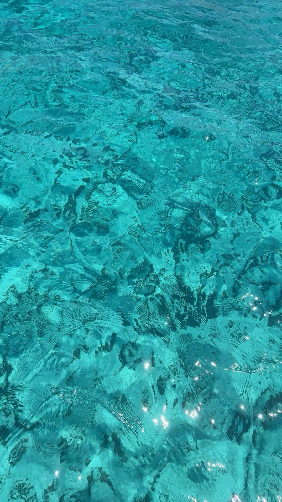 🌊 SUMMER MOOD