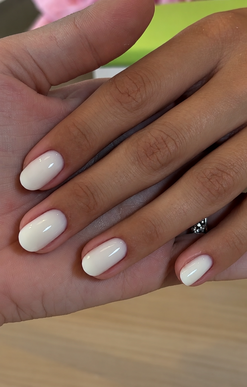 THE COLOR TO BUILD “Butter”