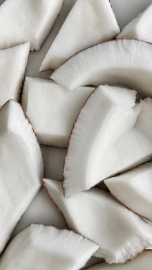 THE COLOR TO BUILD “COCONUT”
